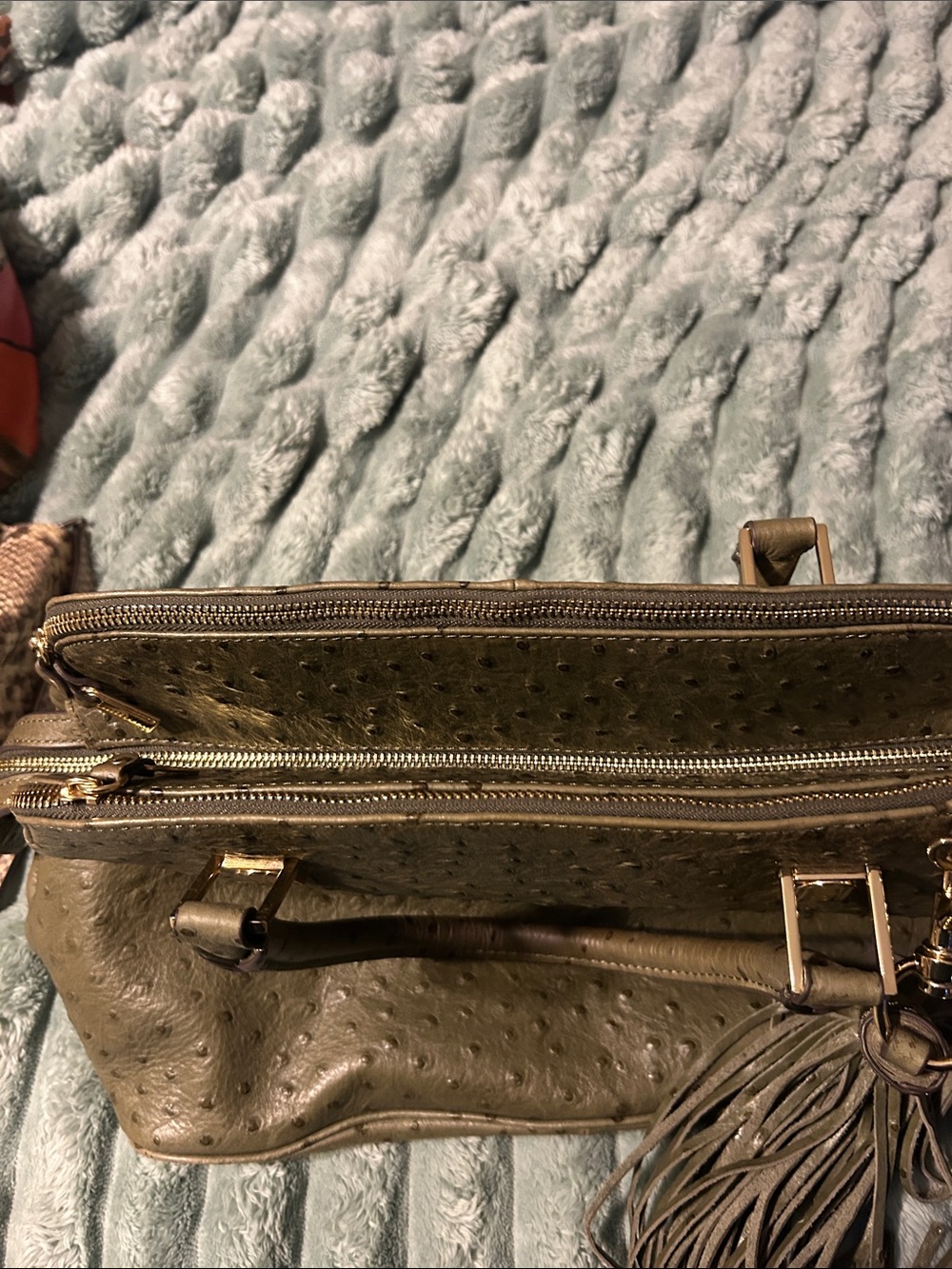 G.I.L.I. Olive Green Ostrich-Embossed Satchel with Tassel - Picture 13 of 16
